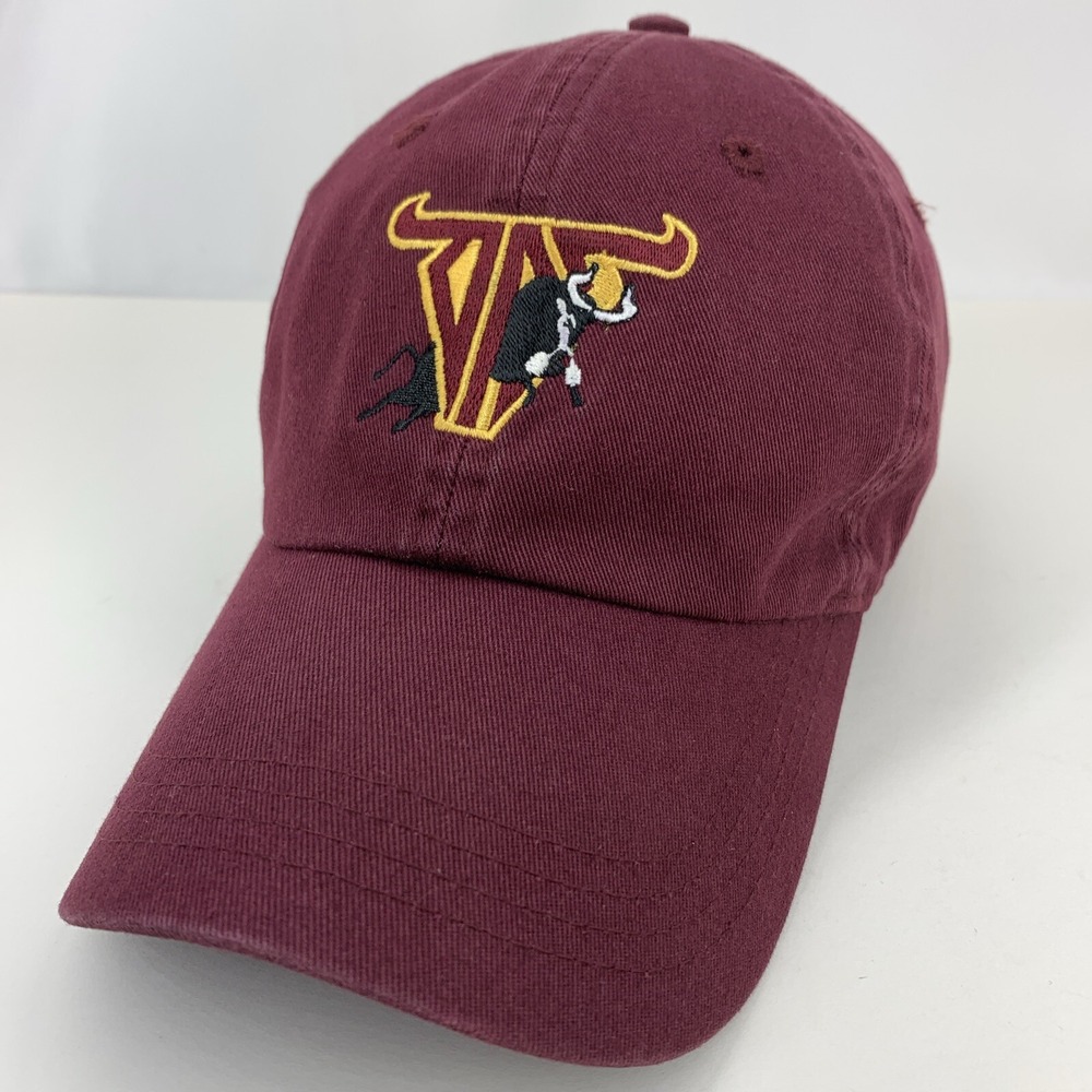 Bull Toro Skull Logo Hat Burgundy Adjustable AHEAD Vintage Classic Baseball Cap